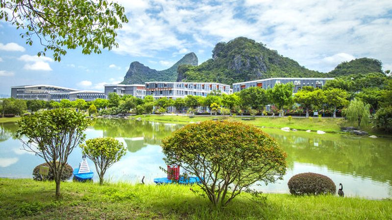 三极管厂家排名探析：揭秘行业实力与选型要点