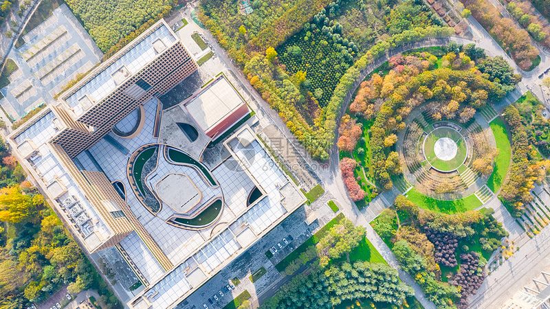 广州芯片批发公司哪家好